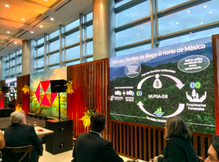 Participación en el Climate Action Week México